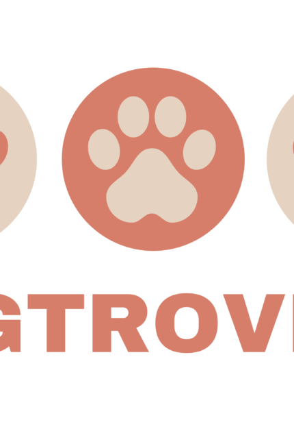 white unisex sweatshirt for mencotton online under 1000